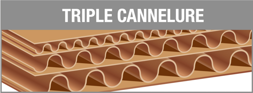 Schéma triple cannelure